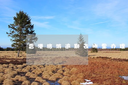 香港旅游逾期去哪里办理 香港旅游逾期去哪里办理