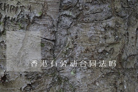 香港有劳动合同法吗 香港有劳动合同法吗