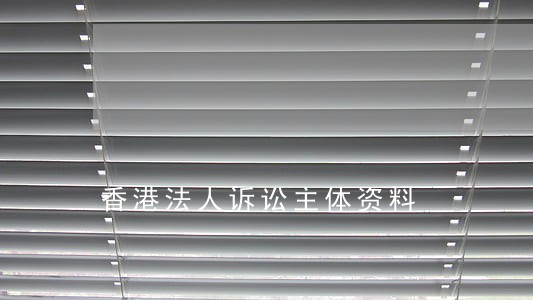 香港法人诉讼主体资料
