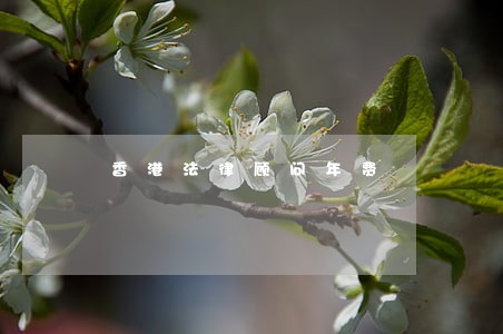 香港法律顾问年费 香港法律顾问年费