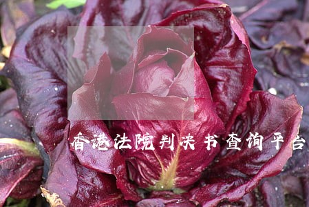 香港法院判决书查询平台