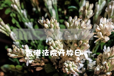 香港法院开放日 香港法院开放日