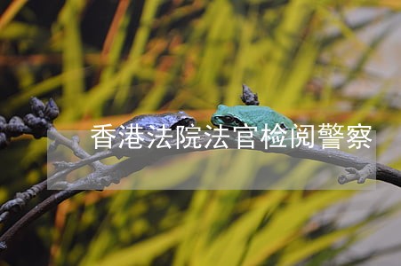 香港法院法官检阅警察