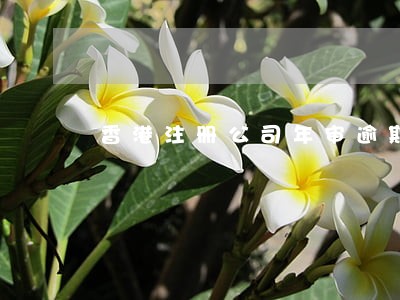 香港注册公司年审逾期怎么办 香港注册公司年审逾期怎么办