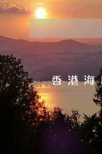香港海运包税进口违法吗 香港海运包税进口违法吗