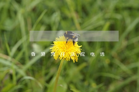 香港湾仔法院电话