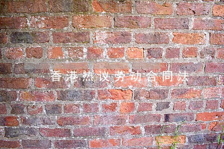 香港热议劳动合同法 香港热议劳动合同法