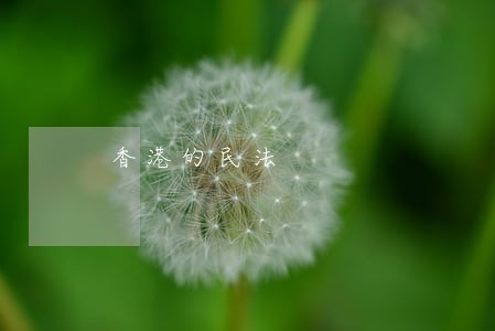 香港的民法 香港的民法