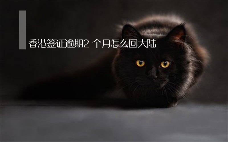 香港签证逾期2个月怎么回大陆 香港签证逾期2个月怎么回大陆