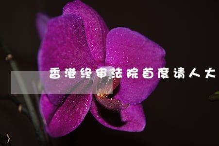 香港终审法院首度请人大释法 香港终审法院首度请人大释法