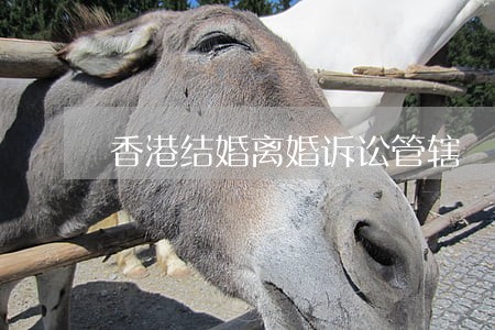 香港结婚离婚诉讼管辖 香港结婚离婚诉讼管辖