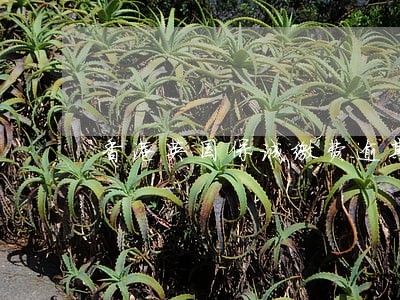 香港英国保诚缴费逾期 香港英国保诚缴费逾期