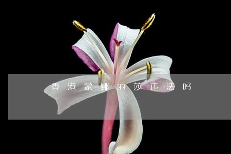 香港蒙娜丽莎违法吗 香港蒙娜丽莎违法吗