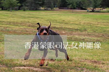 香港蒙眼司法女神雕像 香港蒙眼司法女神雕像