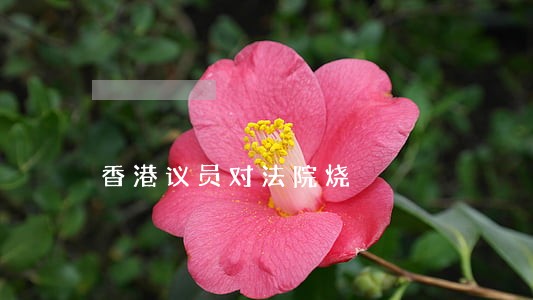 香港议员对法院烧