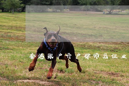 香港账户开户律师见证业务指南 香港账户开户律师见证业务指南