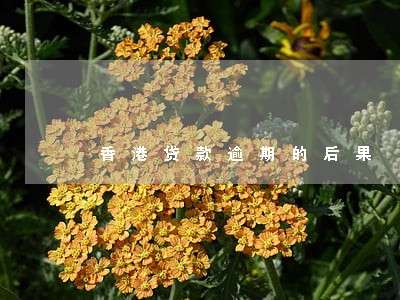 香港贷款逾期的后果