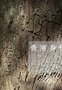 香港身份证内地信用卡逾期不还 香港身份证内地信用卡逾期不还