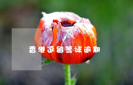 香港逗留签证逾期