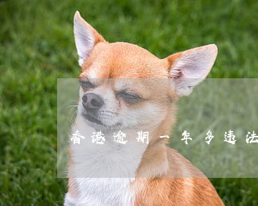香港逾期一年多违法吗 香港逾期一年多违法吗