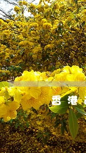 香港逾期一年犯法吗 香港逾期一年犯法吗