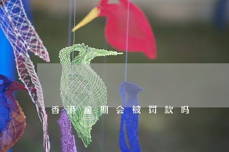 香港逾期会被罚款吗 香港逾期会被罚款吗