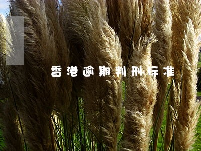 香港逾期判刑标准 香港逾期判刑标准