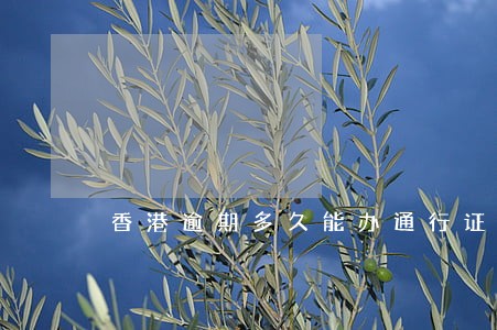 香港逾期多久能办通行证 香港逾期多久能办通行证