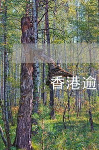 香港逾期居留一年 香港逾期居留一年