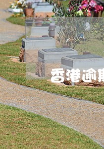 香港逾期待留一年后偷渡回大陆 香港逾期待留一年后偷渡回大陆