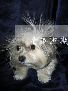 香港逾期超过七天怎么办 香港逾期超过七天怎么办