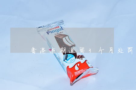 香港逾期逗留3个月处罚规定 香港逾期逗留3个月处罚规定