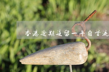 香港逾期逗留一年自首流程 香港逾期逗留一年自首流程