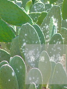 香港逾期逗留两年法官怎么判 香港逾期逗留两年法官怎么判
