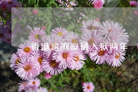 香港逾期逗留入狱两年 香港逾期逗留入狱两年