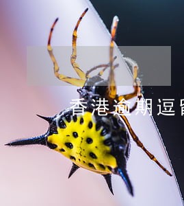 香港逾期逗留在申请 香港逾期逗留在申请