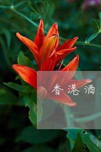 香港酒店上门违法吗