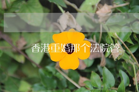 香港重婚那个法院管 香港重婚那个法院管