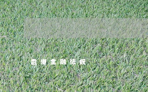 香港金融法规 香港金融法规