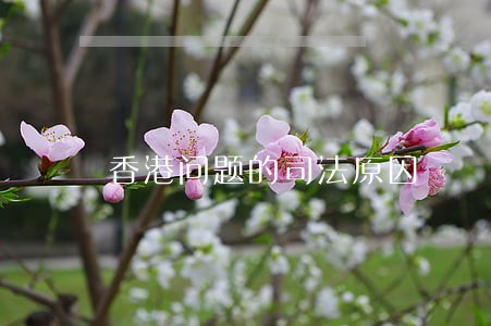 香港问题的司法原因