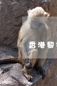 香港黎锦文李孟华律师事务所 香港黎锦文李孟华律师事务所
