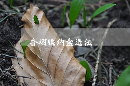 香烟收纳盒违法