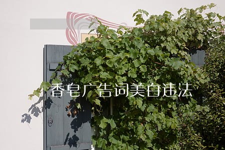 香皂广告词美白违法 香皂广告词美白违法