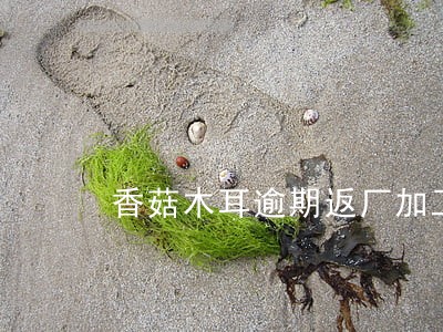 香菇木耳逾期返厂加工通知