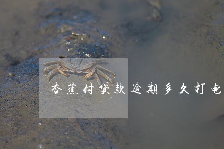 香蕉付贷款逾期多久打电话 香蕉付贷款逾期多久打电话