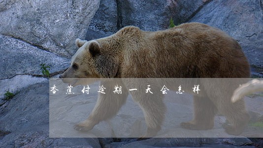 香蕉付逾期一天会怎样 香蕉付逾期一天会怎样
