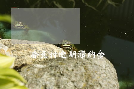 香蕉付逾期滞纳金 香蕉付逾期滞纳金