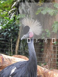 馬上消費金融逾期 馬上消費金融逾期