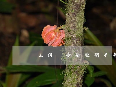 馬上消費金融逾期半年 馬上消費金融逾期半年
