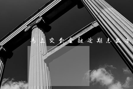 马上交费金融逾期怎么办 马上交费金融逾期怎么办